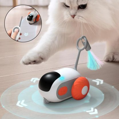 Smart Cat Car - Better Than Indestructible Dog Chew Toys