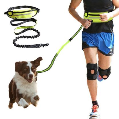 Hands-Free Dog Leash – Running Belt with Bungee & Pockets
