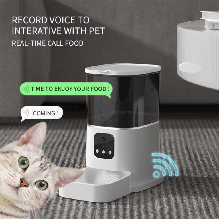 Best Automatic Cat Feeder: What to Buy (2026 Guide)