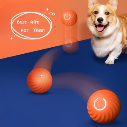 Interactive Dog Toys Bouncy Ball