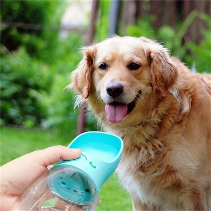 Portable Dog Water Dispenser for Outdoor Walks