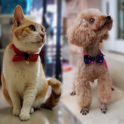 Adjustable Dog & Cat Bow Tie with Bell – Stylish Pet Collar Accessory