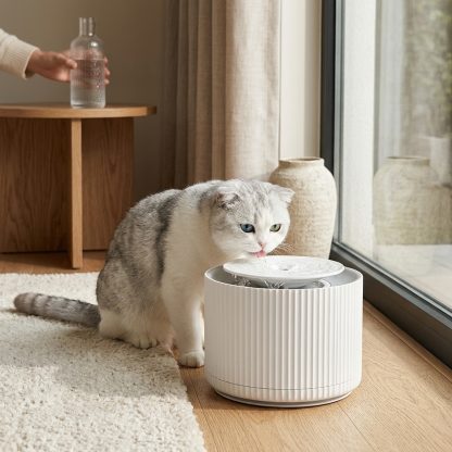 Cat Water Fountain