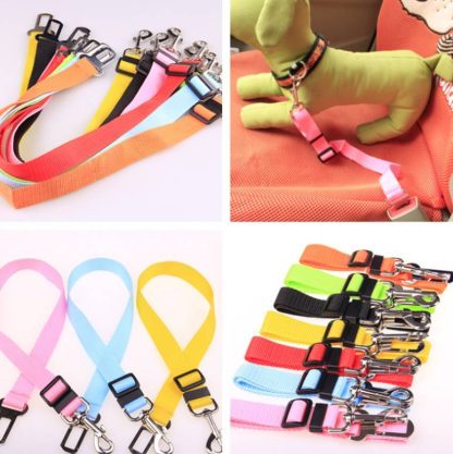 Colorful Dog Training Leash