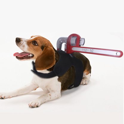 Funny Halloween Pet Costume – Novelty Costume for Dogs & Cats