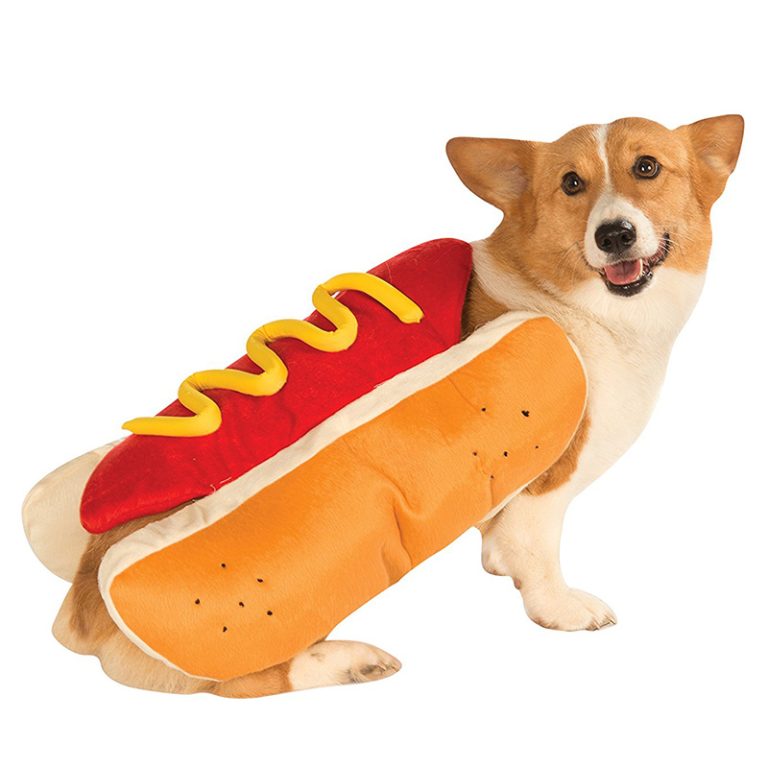 Small Dog Halloween Costumes: Safe Picks That Fit